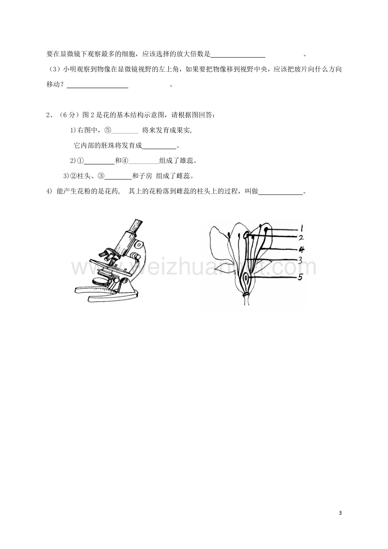 甘肃省白银市第五中学2017届九年级生物上学期第一次月考试题（无答案）.doc_第3页