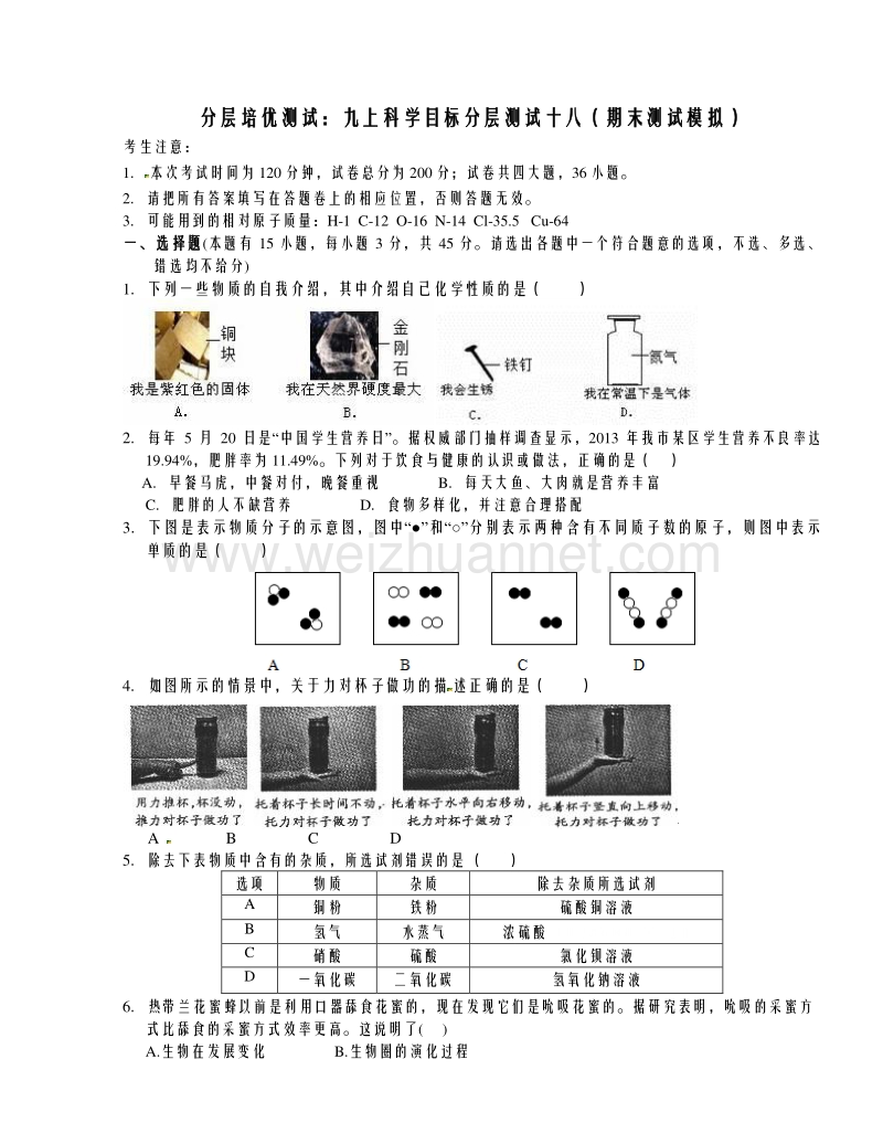 浙教版九年级中考复习一轮科学分层培优测试：九上科学目标分层测试十八（期末测试模拟）.doc_第1页