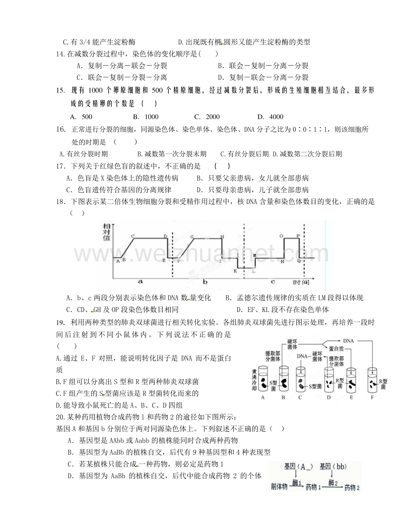 河南省郑州市第四中学2014-2015学年高二上学期期中考试生物试题.doc_第3页