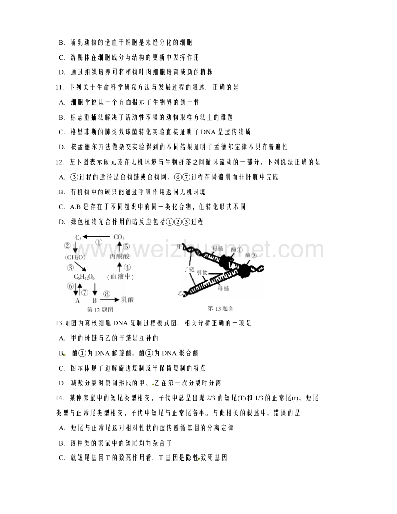 湖南省郴州市2017届高三上学期第一次教学质量监测生物试题.doc_第3页