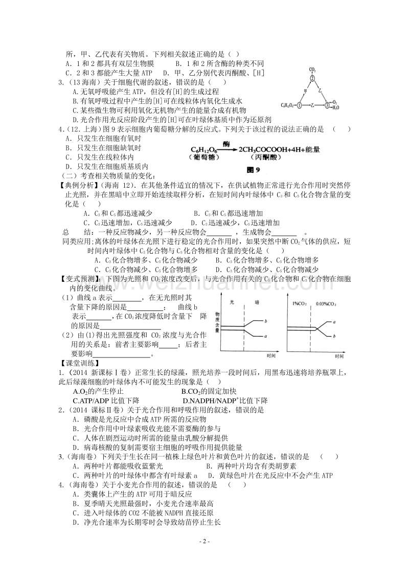 光合、呼吸专题(分课时).doc_第2页