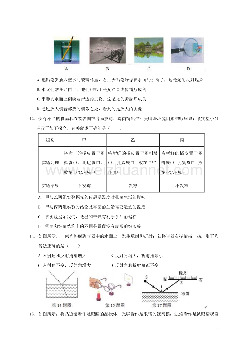 七年级科学下学期期中模拟测试卷3.doc_第3页