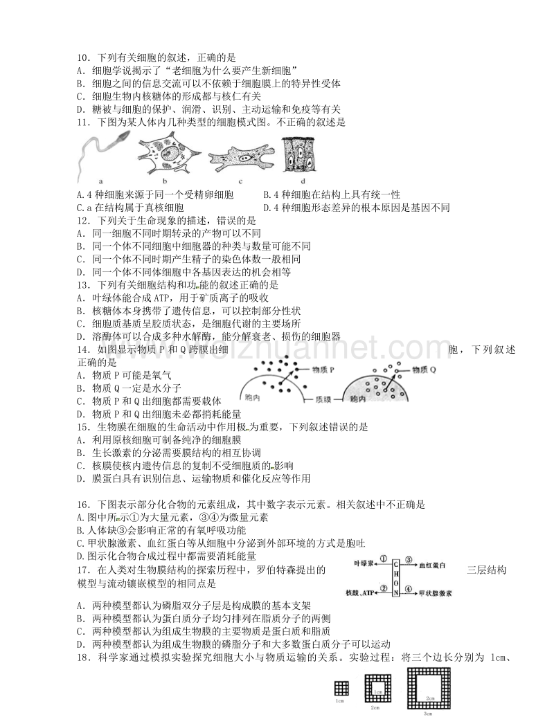 辽宁省沈阳市东北育才学校2016届高三上学期第一次模拟考试生物试题.doc_第2页