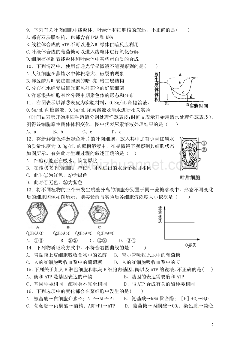 辽宁省沈阳市东北育才学校2017届高三生物上学期第一次模拟考试试题.doc_第2页