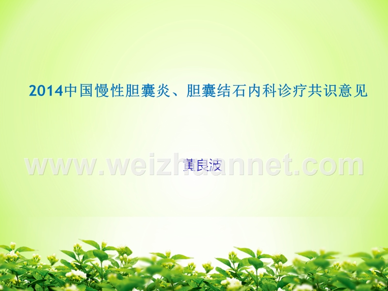 2014年度中国慢性胆囊炎、胆囊结石内科诊疗共识意见.ppt_第1页