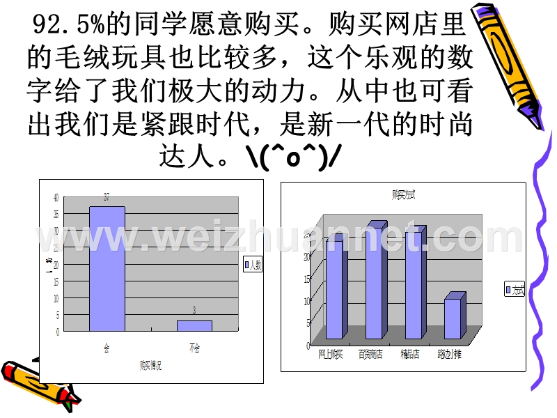 毛绒玩具市场调查.ppt_第3页