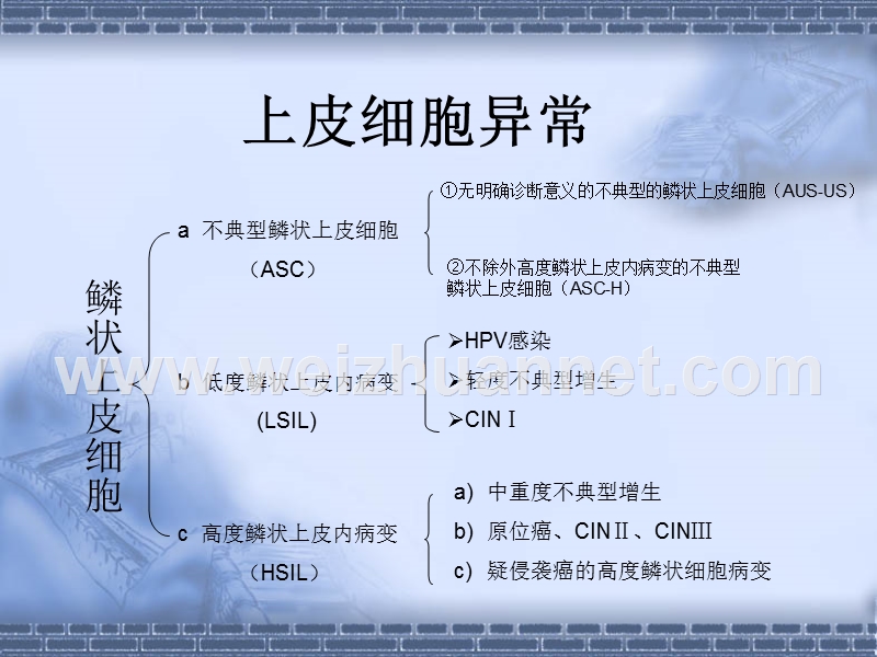 asccp美国阴道镜和宫颈病理协会.ppt_第2页