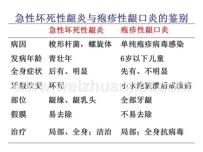 牙周病学知识点.ppt_第2页