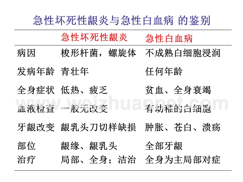 牙周病学知识点.ppt_第3页