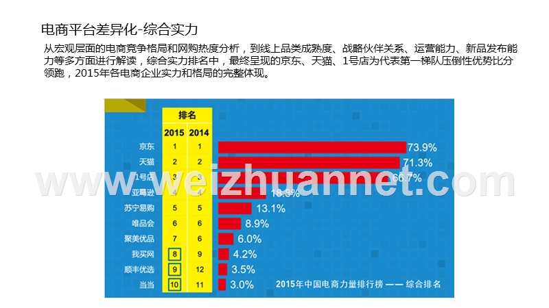 电商平台差异分析.pptx_第1页