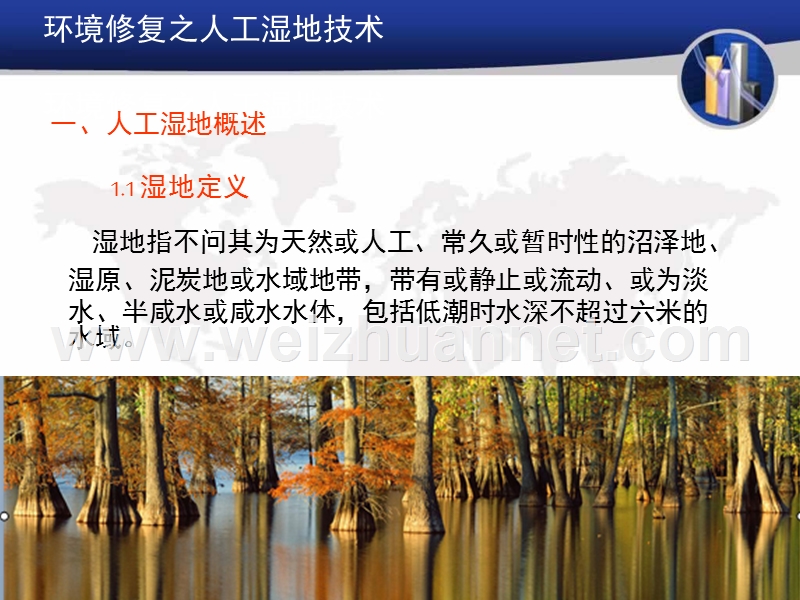 环境修复之人工湿地技术.ppt_第3页