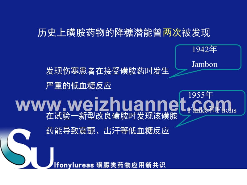 磺脲类应用新共识ppt.ppt_第3页