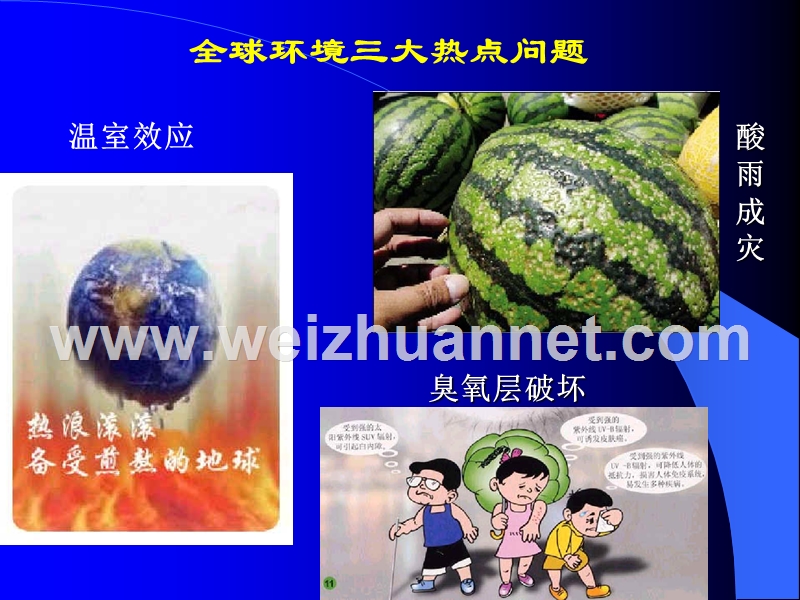 第11章-环境净化材料.ppt_第2页