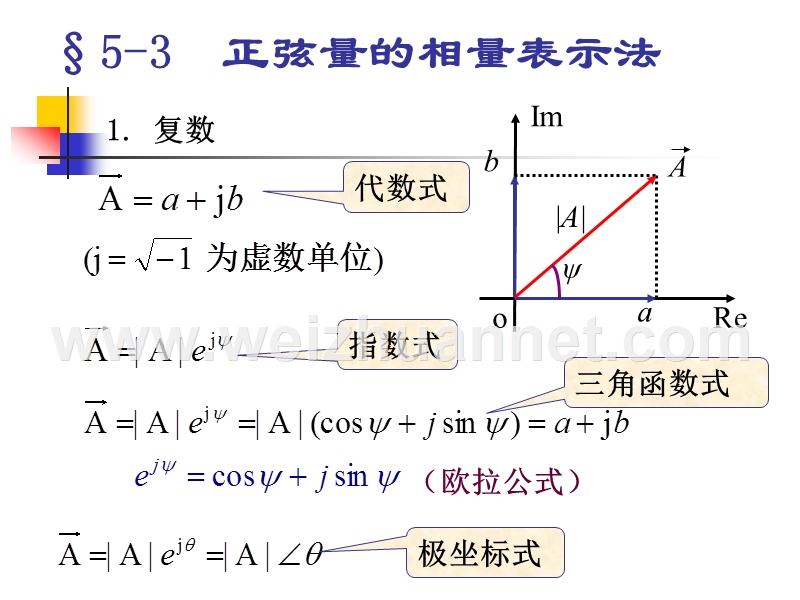 正弦量的相量表示.ppt_第1页