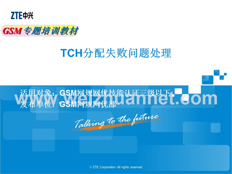 gsm网规网优专题培训教材-tch分配失败问题处理v2.0.ppt_第1页