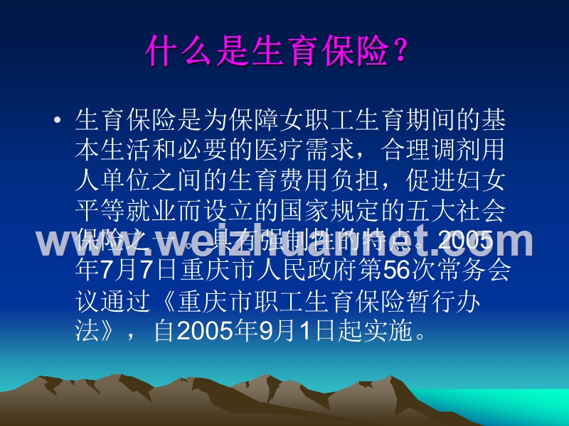 生育保险业务培训ppt.ppt_第3页