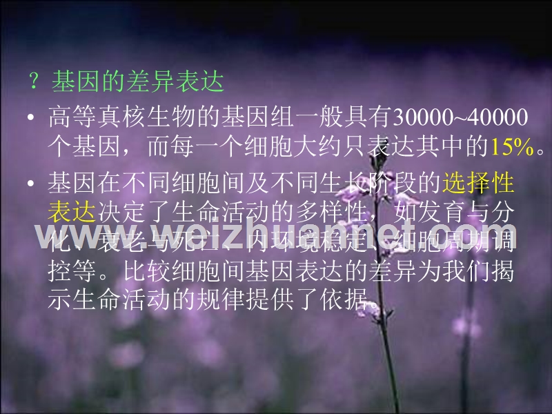 研究差异表达基因的相关技术.ppt_第2页