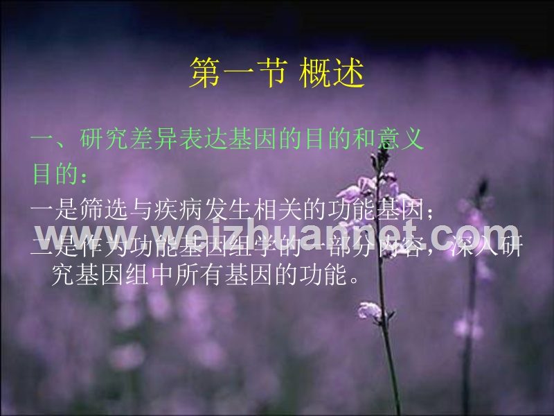 研究差异表达基因的相关技术.ppt_第3页