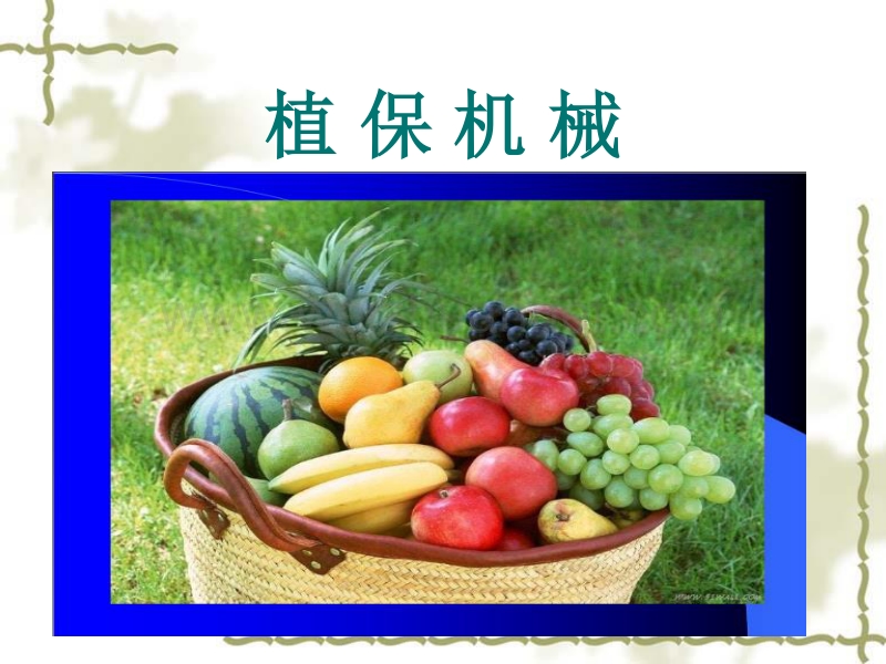 植保机械的使用维修与保养修订版.ppt_第3页