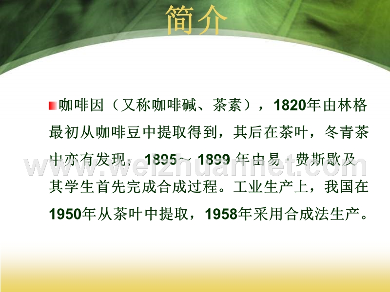 合成咖啡因.ppt_第2页