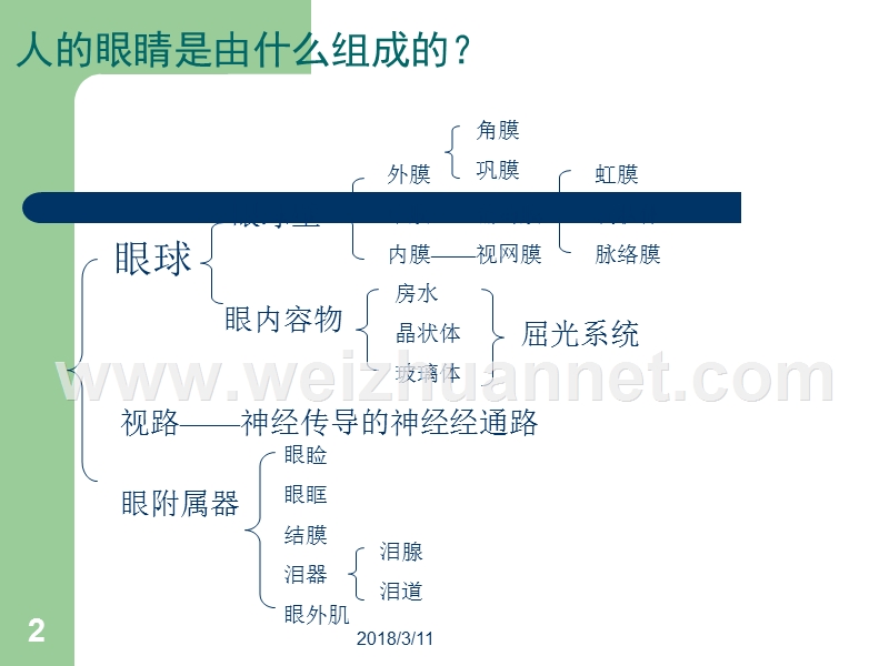 眼镜店必备的眼科知识学习.ppt_第2页