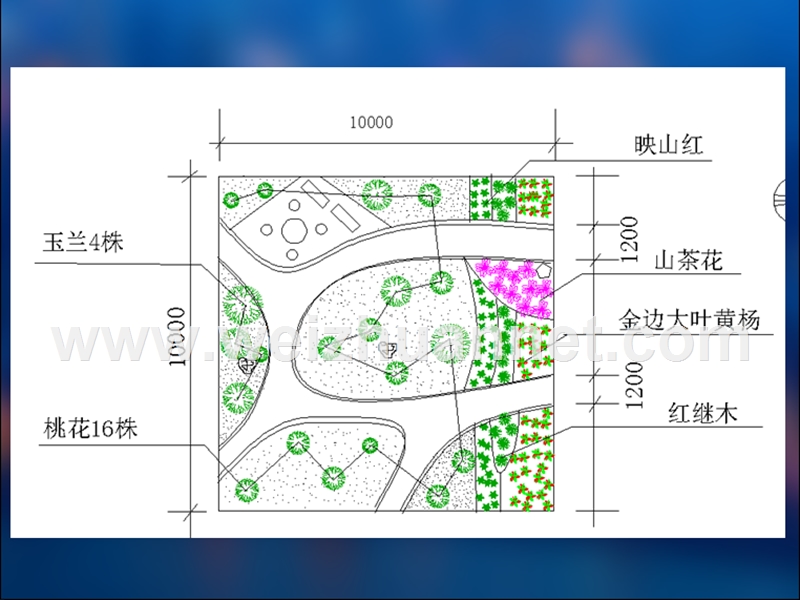 定额计价园林绿化工程预算示范.ppt_第2页