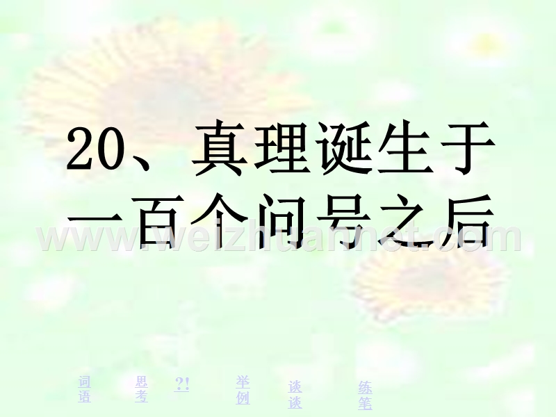 真理诞生于一百个问号之后-(nxpowerlite).ppt_第2页