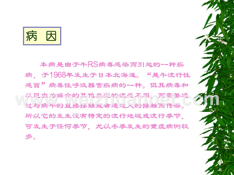 病毒感染症.ppt_第2页