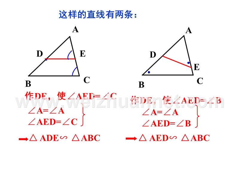 相似与分类讨论.pptx_第2页