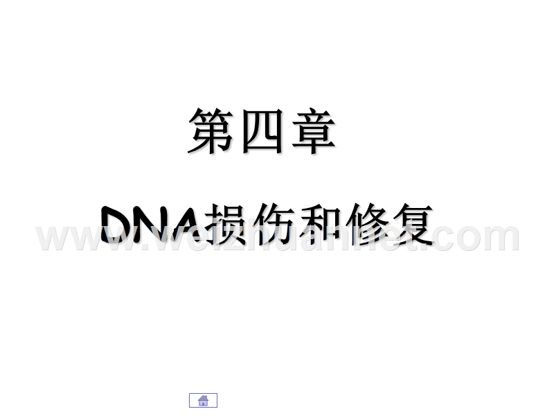 第04章-dna损伤和修复.ppt_第1页