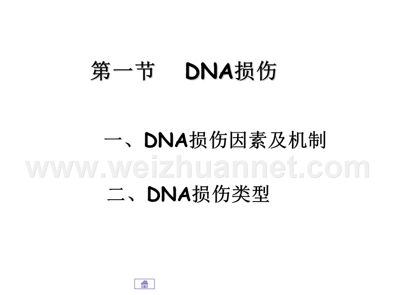 第04章-dna损伤和修复.ppt_第3页