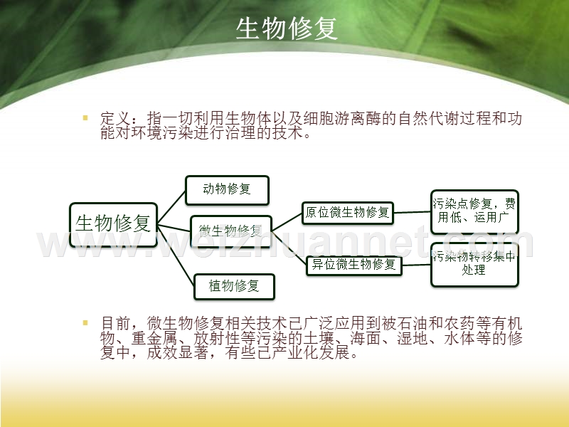 生物修复菌剂.ppt_第3页