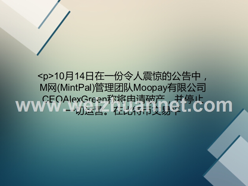 mintpal母公司moopay宣布申请破产-m网暂停运营.ppt_第1页