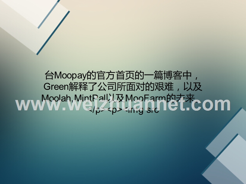 mintpal母公司moopay宣布申请破产-m网暂停运营.ppt_第2页