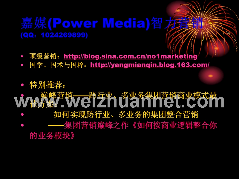 嘉媒(power-media)标准数据库营销.ppt_第3页