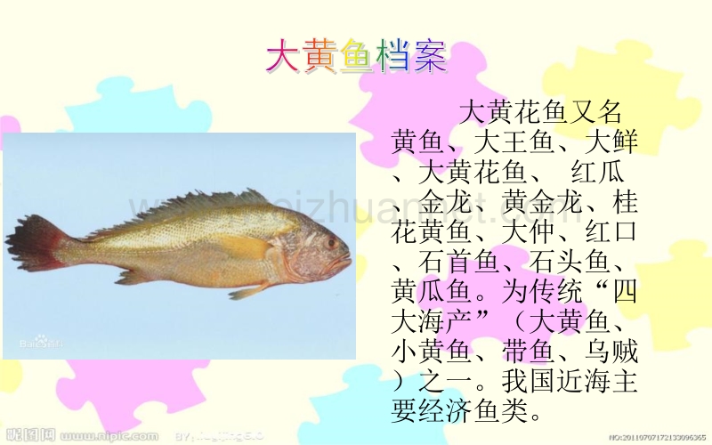 大黄鱼na儿去了.ppt_第2页