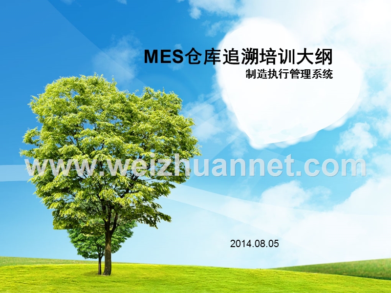 mes异常分析.ppt_第1页