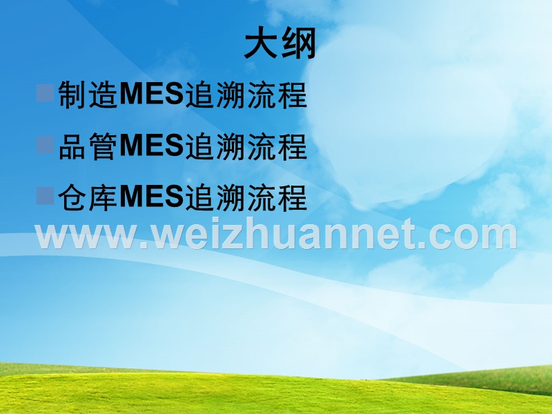 mes异常分析.ppt_第2页