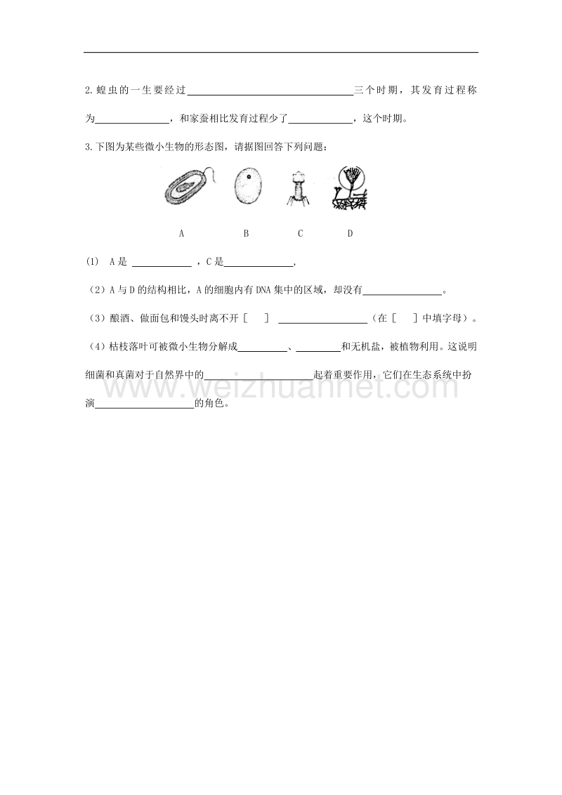 内蒙古包头市包钢四中2015-2016学年度八年级生物上学期阶段性试卷 新人教版.doc_第3页