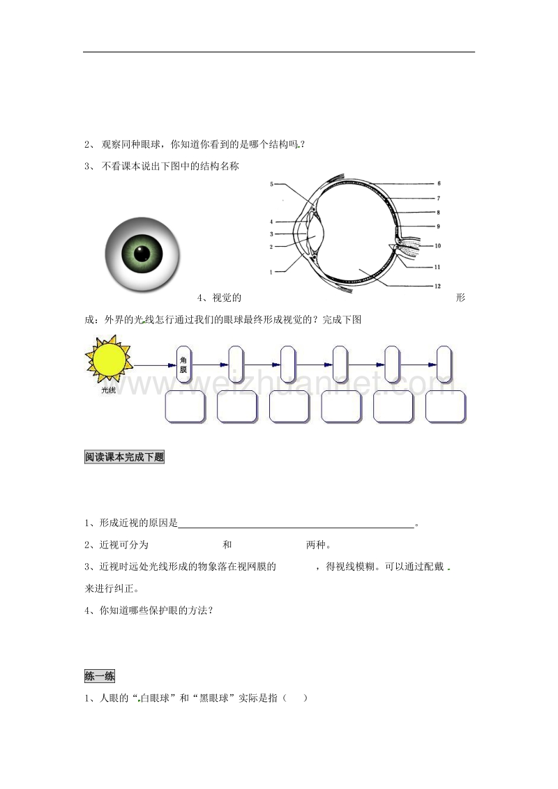 2018年江苏省南京市七年级生物下册12.3感知信息学案1（无答案）（新版）苏教版.doc_第2页