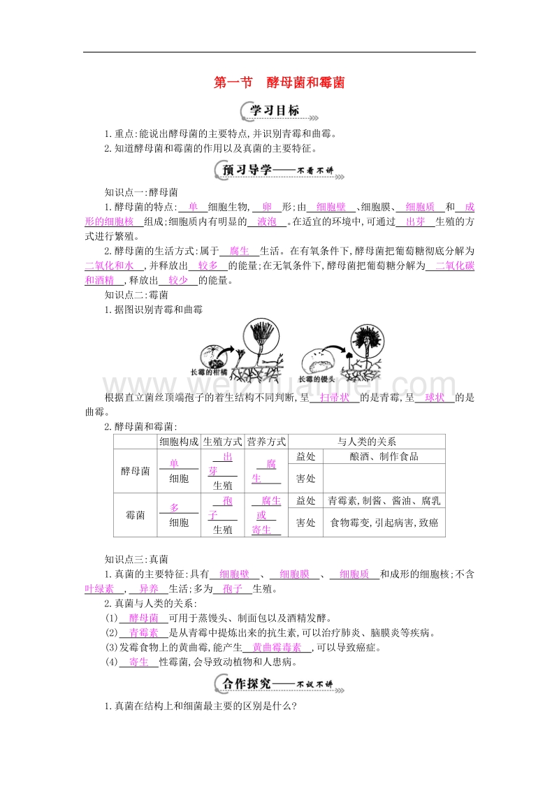 2018年八年级生物上册第五单元 第二章 第一节《酵母菌和霉菌》导学案（新版）冀教版.doc_第1页