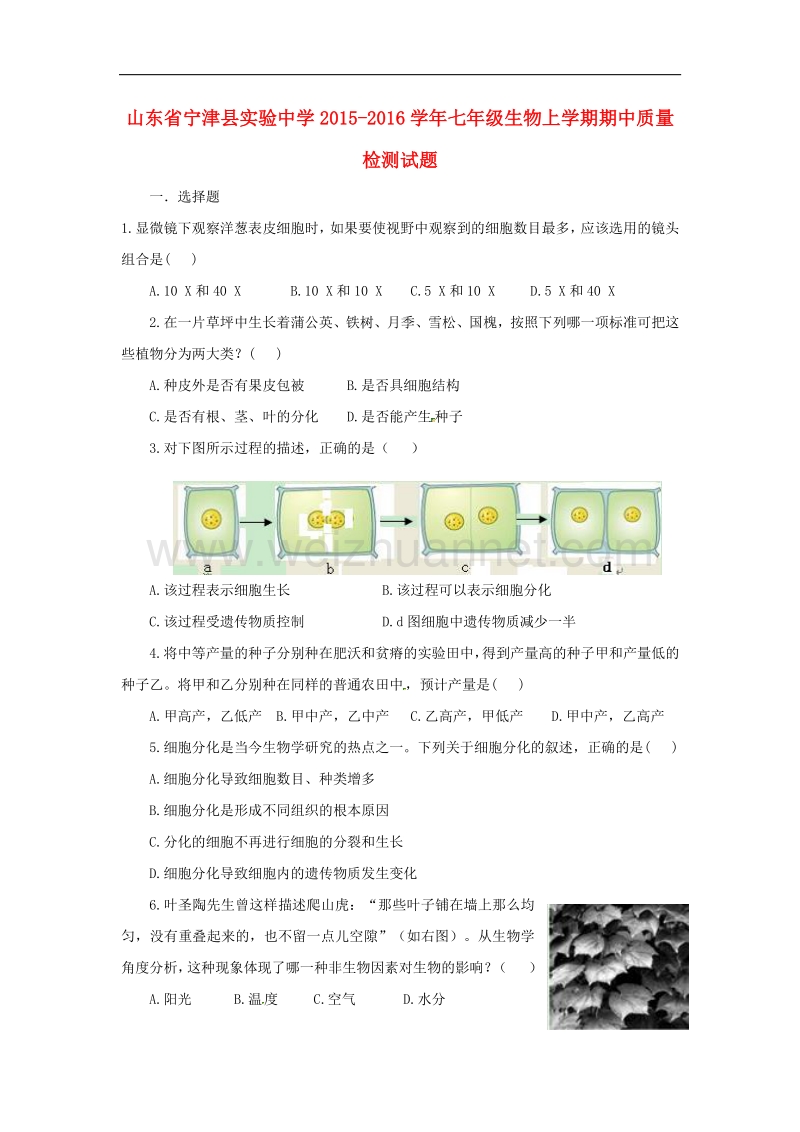 山东省宁津县实验中学2015-2016学年度七年级生物上学期期中质量检测试题.doc_第1页