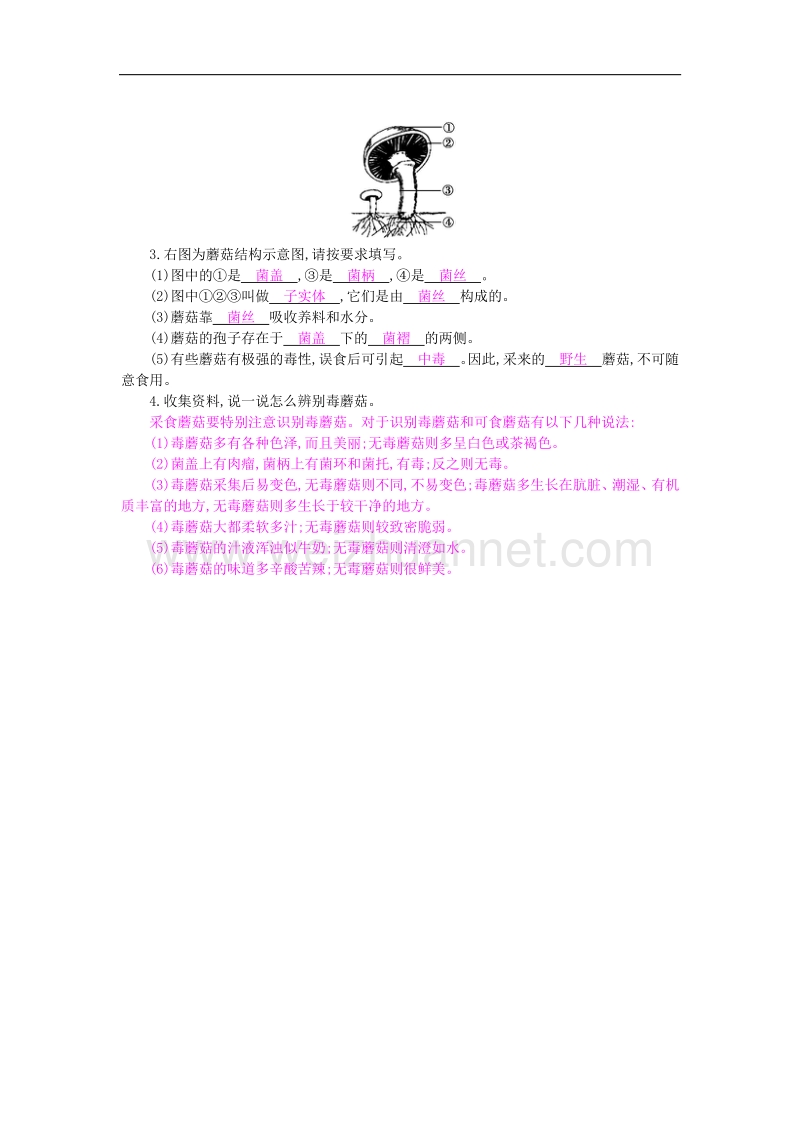 2018年八年级生物上册第五单元 第二章 第二节《食用真菌》导学案（新版）冀教版.doc_第2页