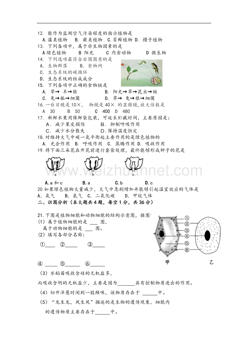 内蒙古鄂尔多斯市鄂托克旗乌兰镇中学2015-2016学年度七年级上学期期末考试生物试题.doc_第2页