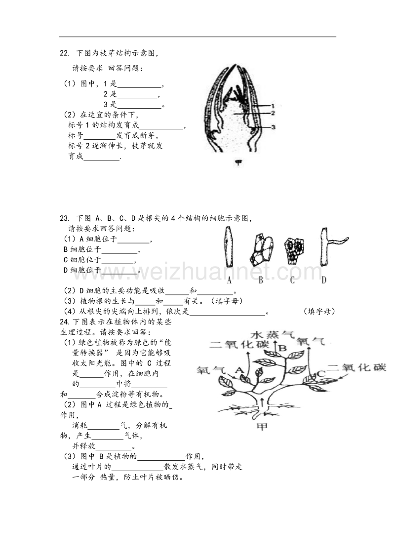 内蒙古鄂尔多斯市鄂托克旗乌兰镇中学2015-2016学年度七年级上学期期末考试生物试题.doc_第3页