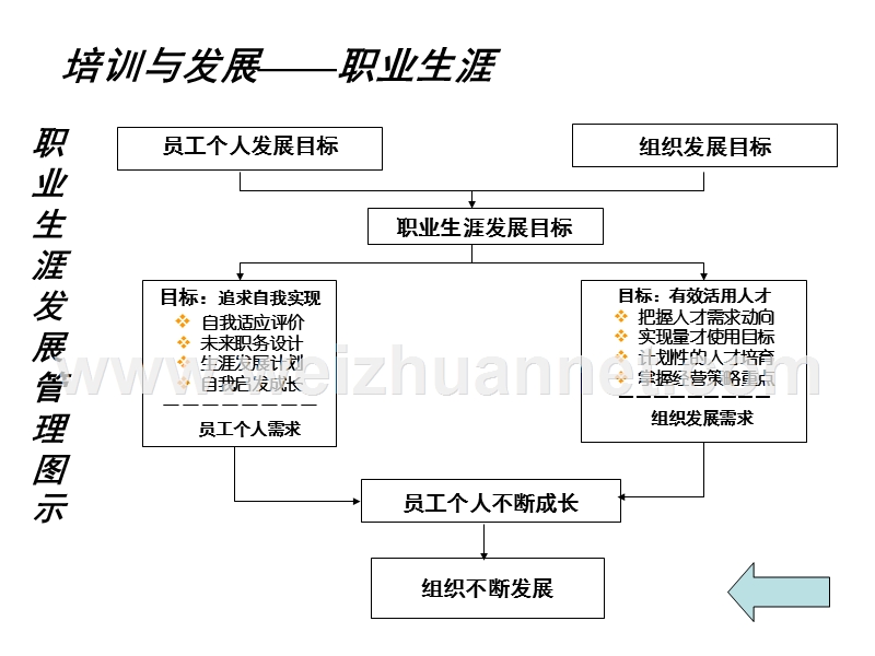 组织职业生涯管理.pps_第3页