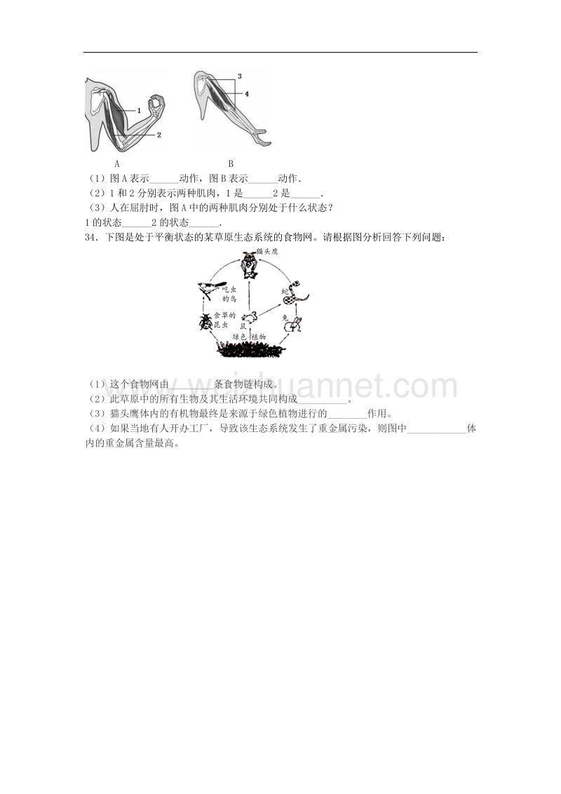 江苏省盐城市阜宁县2014-2015学年度八年级生物上学期期末试题 苏教版.doc_第3页