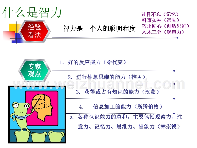 第三节-学生个体差异.ppt_第3页