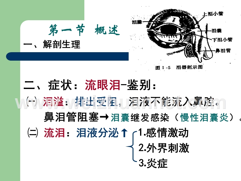 第五章-----泪器病.ppt_第3页