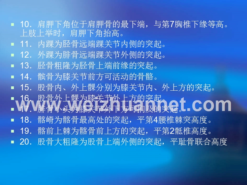 第三节-x线摄影体表定位标志.ppt_第3页